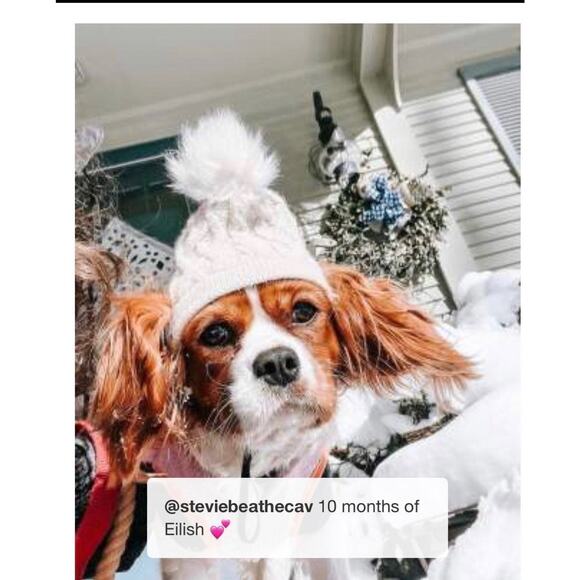 NEW Puppy Dog PET SWEATER & HAT OUTFIT Set LG Cream Knit Boots Barkley to 80lb - Picture 6 of 11